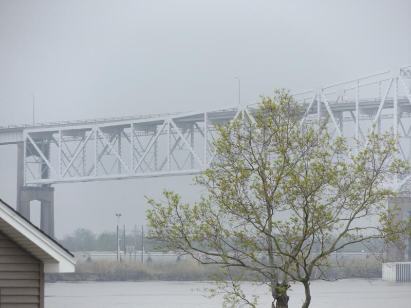 Spyder on the Bayou Cajun Conntry 094