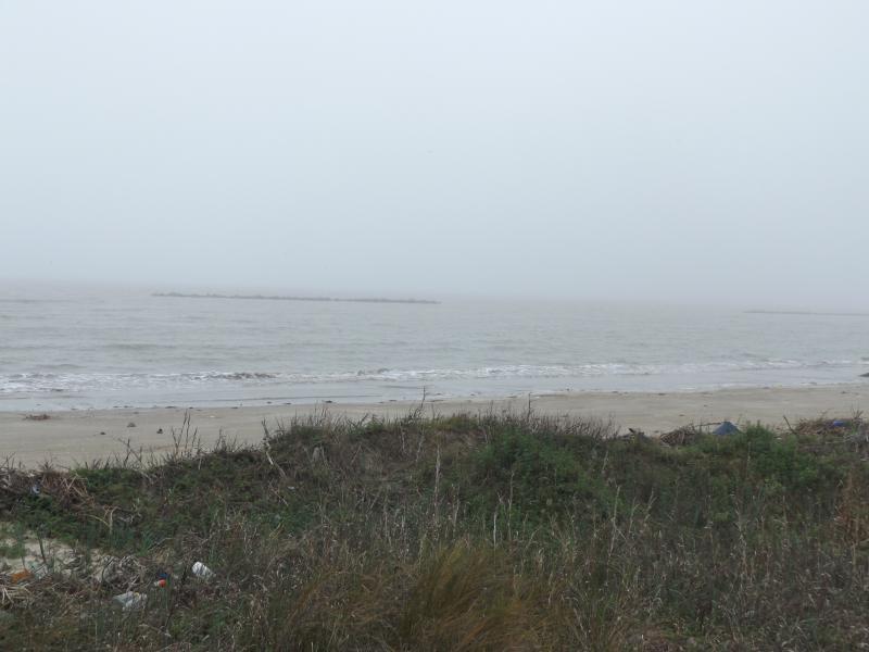 Spyder on the Bayou Cajun Conntry 098