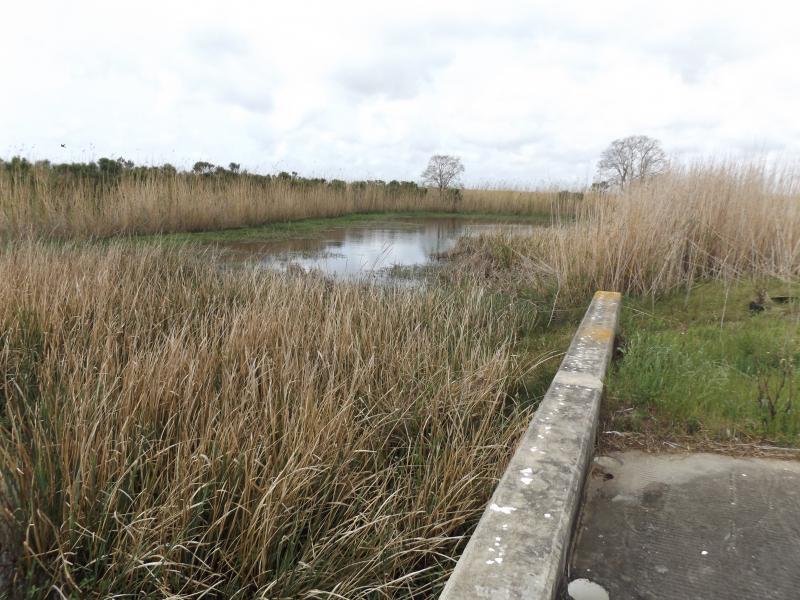 Spyder on the Bayou Cajun Conntry 113