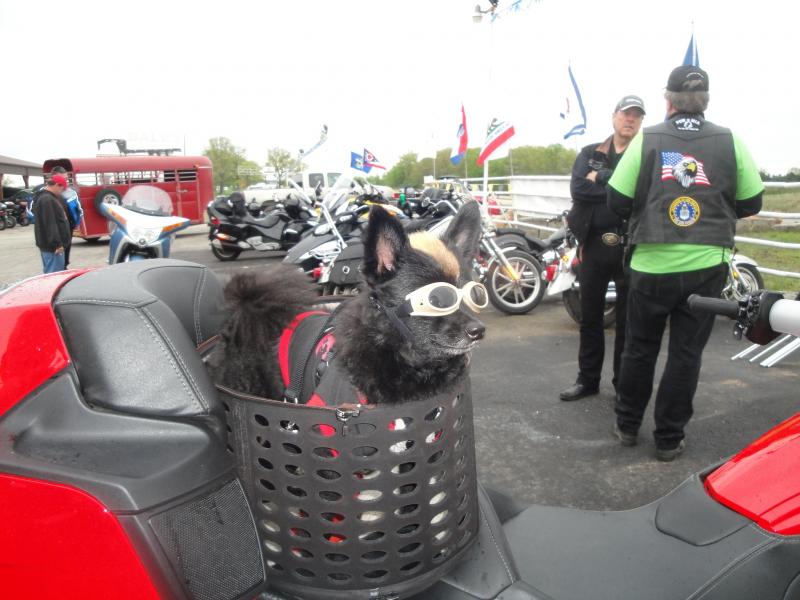 Spyderfest 2011 - Teddy is in the house