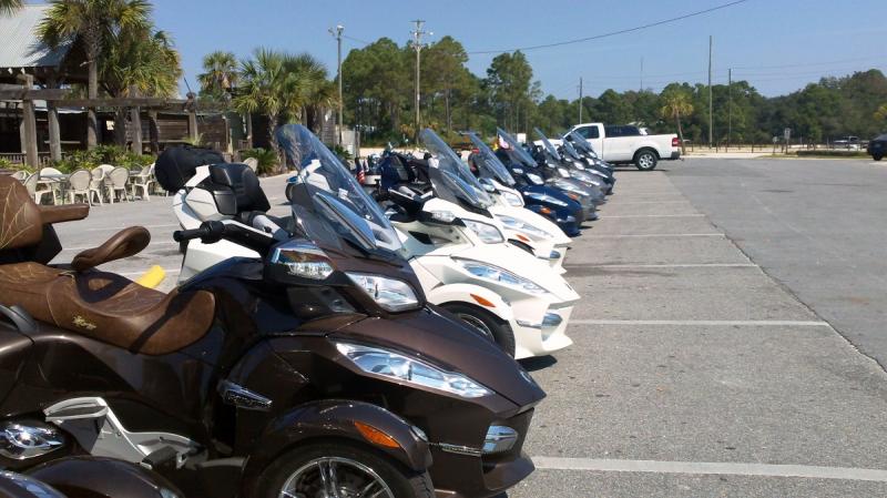 Spyders at Hammerhead Fred's