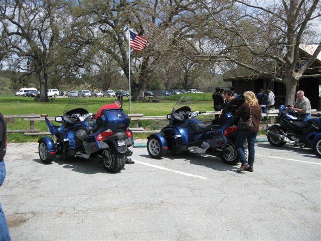 Spyders at Pinnacles 002 (2)