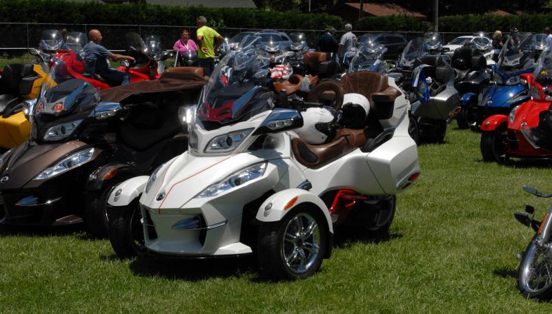 Spyders Galore 5 DRBuckinfront