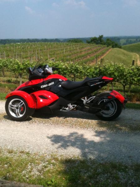 Spyders in the vineyard, May 30, 2011