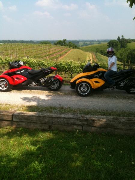 Spyders in the vineyard