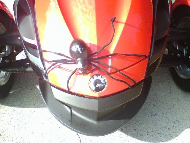 SpyderToy, given to me by a GoldWing rider who found it in a Halloween shop.  I do get lots of laughs with this!  He's been hit in the head and body b