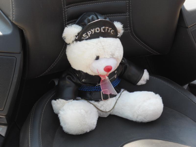 Spydette Bear. RIP! I lost her off the bike someplace.