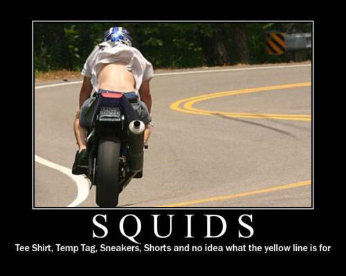 squid