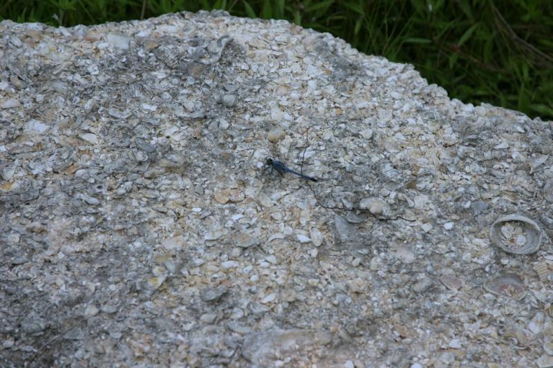 St. Augustine, Florida