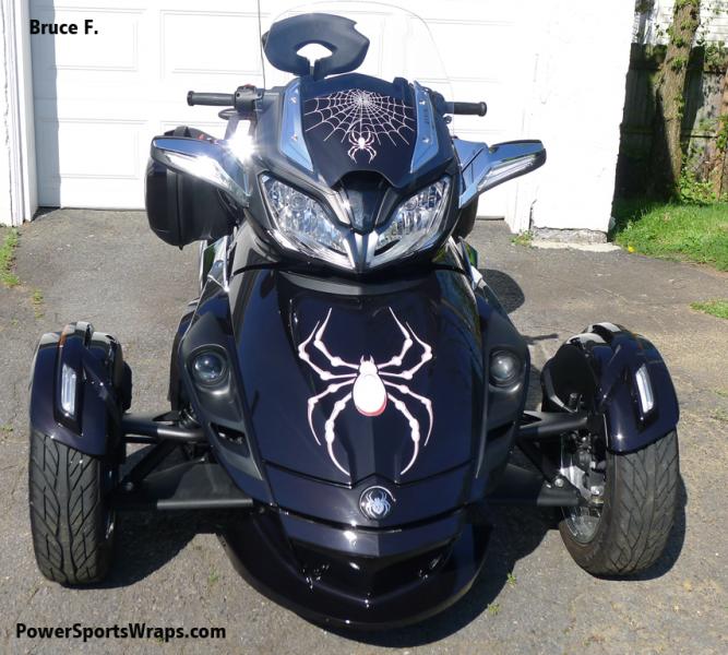 ST S Bellerdine White spider 6