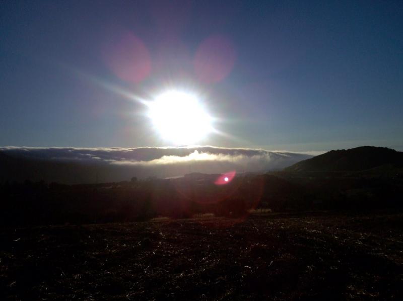 Sun and Fog!