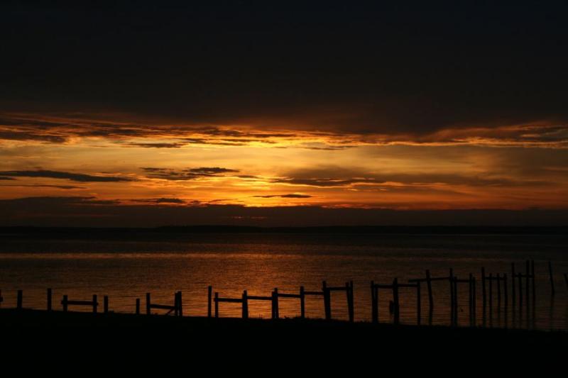 sunrise in the backyard