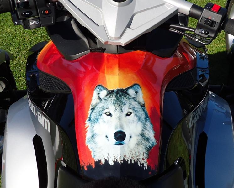 Tank,  he loves coming along for the ride