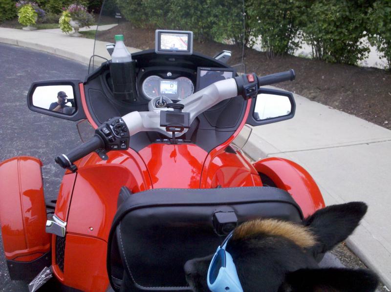 Teddy is Pleased with his new mods