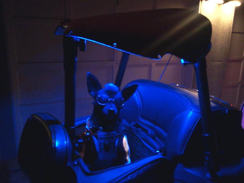 Teddy is Ready
SITA 2012