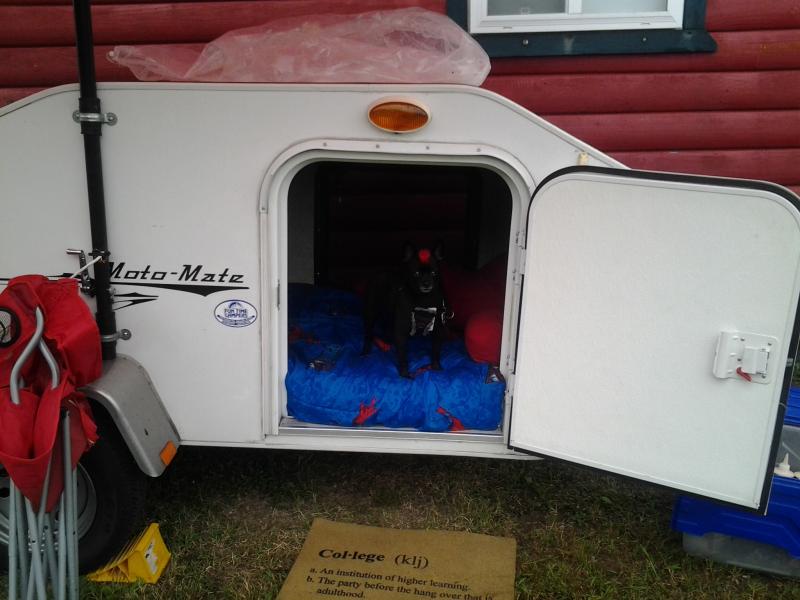 Teddy ready for a nap after getting his belly full of Bar-B-Q ...... mmmmmm mmmmmmm GOOD!