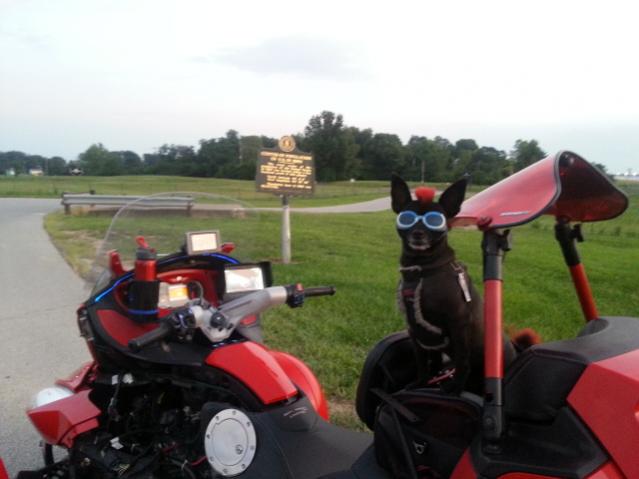 Teddy ryde'n redneck style with a stripped sled at the airport viewing area & marker showing the area was the center of population back in 1880