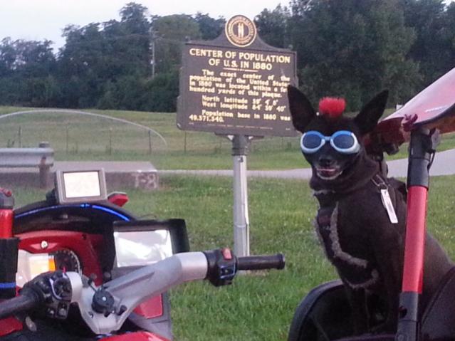 Teddy ryde'n redneck style with a stripped sled at the airport viewing area & marker showing the area was the center of population back in 1880