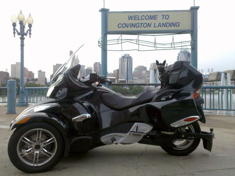 Teddy & Spyder at the Covington Landing across from downtown Cyncy