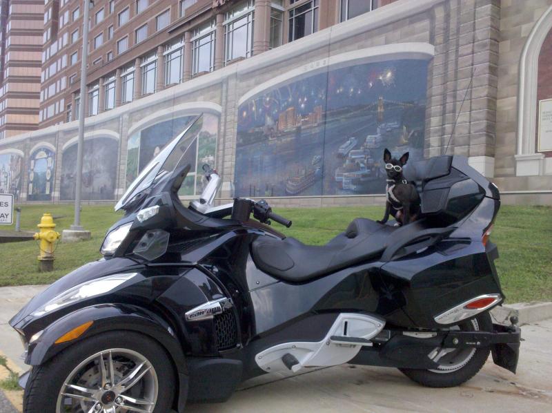 Teddy & Spyder at the Covington River Walk