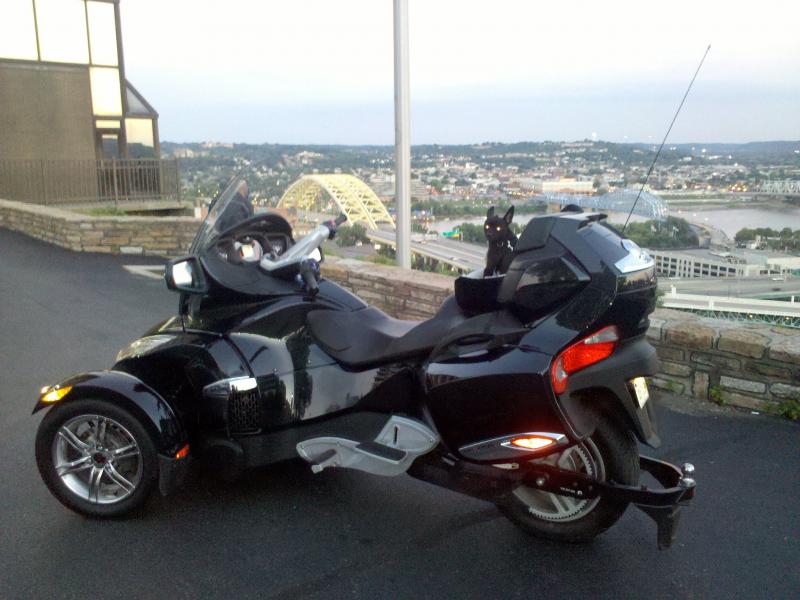 Teddy & Spyder at the Cyncy overlook