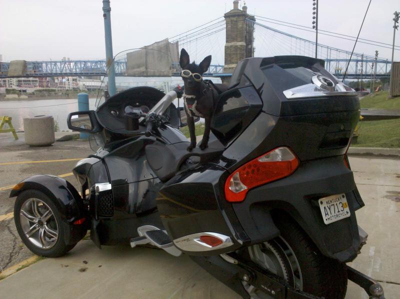 Teddy & Spyder in front of the Roebling Suspension Bridge