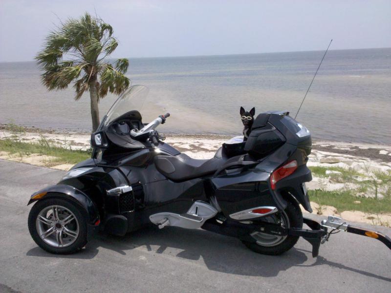 Teddy & Spyder stopped along  Rt 98 heading back from St. George Island Florida