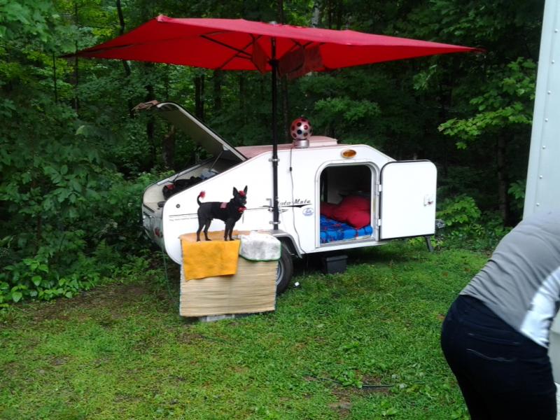 Teddy Standing guard over our Campsite
SITA 2012