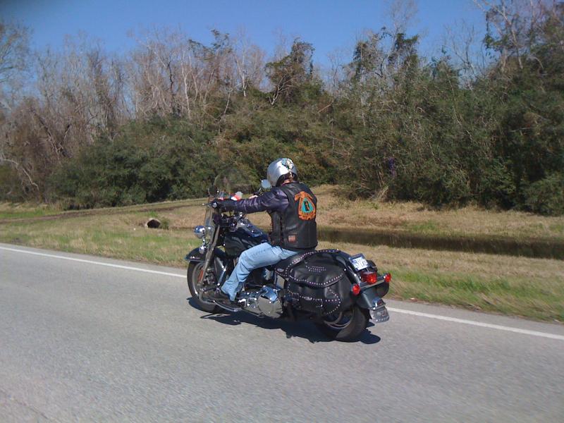 Terri on her soft tail Heritage