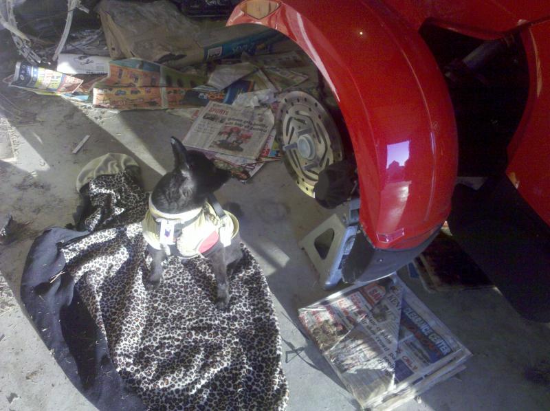 "The Boss" do'n his job.