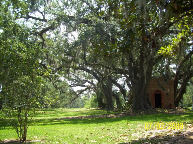 The buttery; where that marble tub and coffee pot and well are located.