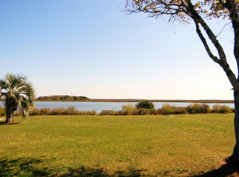 The famed Marshes of Glynn, immortalized in verse by Sidney Lanier