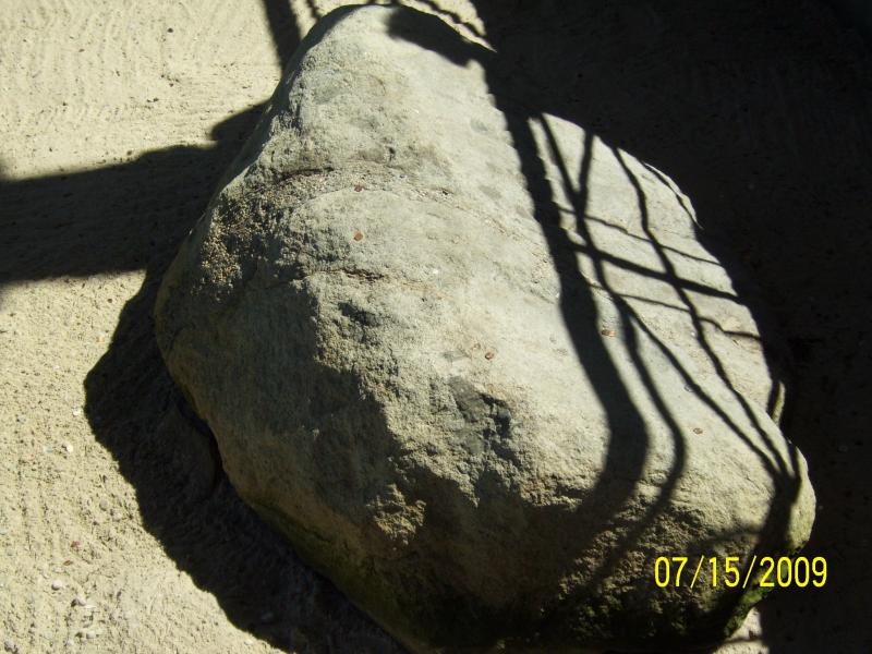 The ROCK! Plymouth rock.