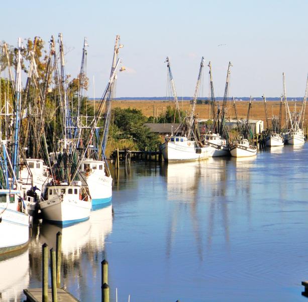 The shrimp boats at Darien, GA
