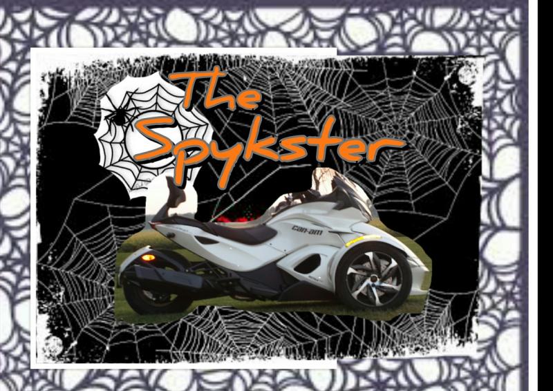 The Spykster in a web.