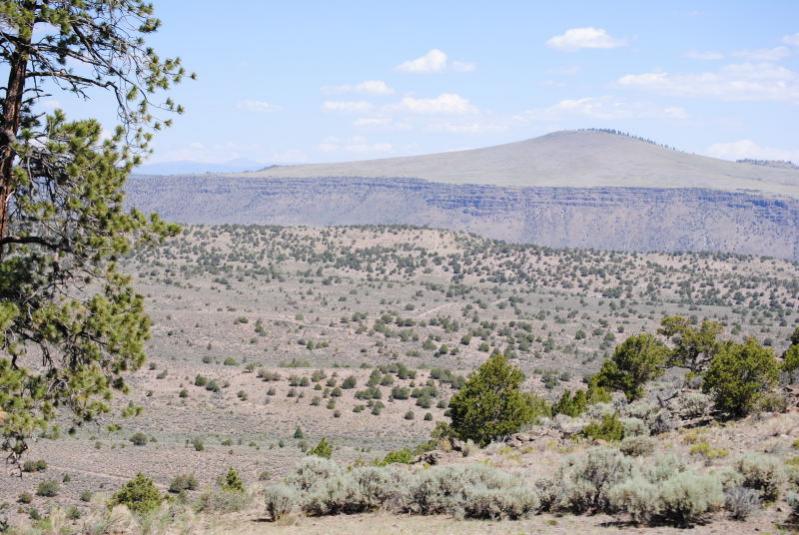 The Train Crosses the Desert