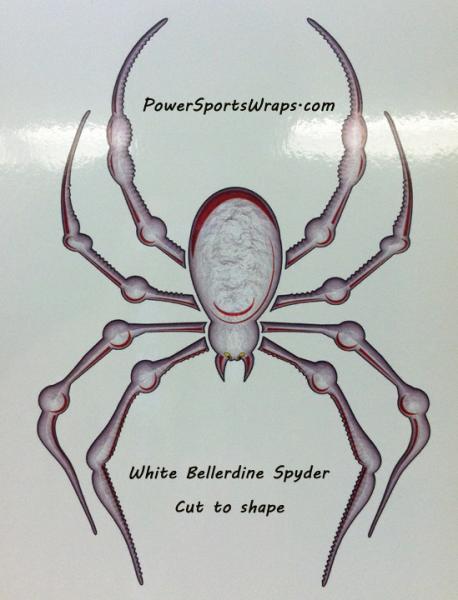 This is a photo of the actual decal before it is cut.  white bellerdine image2

814-838-6377