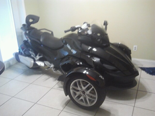 this is where it sleeps, inside so it doesn't get sick lol