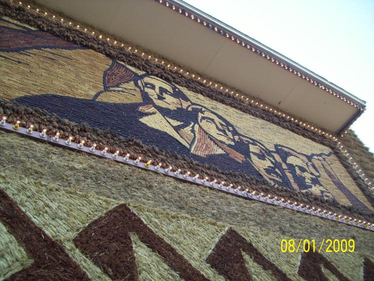 Those are ears of corn, shocks, and rushes or such that make up the designs.