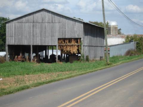 tobacco drying