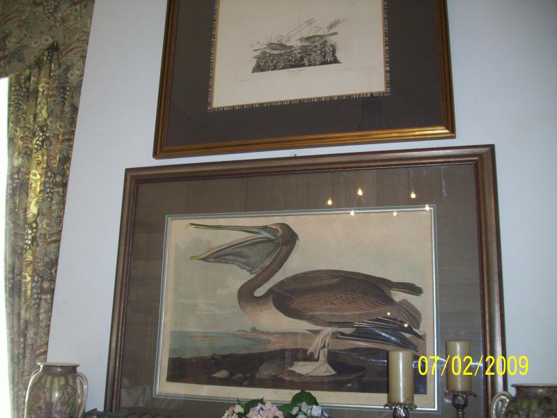 Top is an original drawing and then a lithograph. Audubon of course, all the books pertain to him.