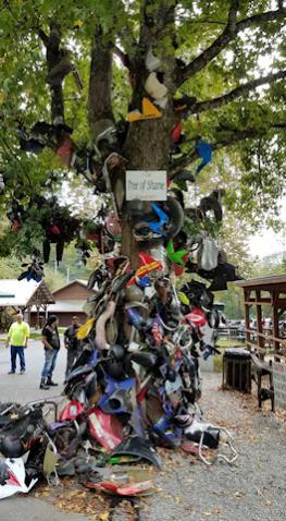 Tree Of Shame. All who don't make it through the Tail Of The Dragon get a piece of their ride hung on the tree. 318 turns in 11 miles.