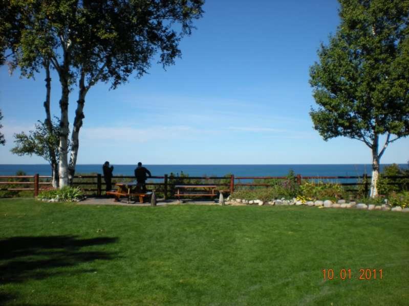 Tunnel of Trees 2011

View from Legs Inn