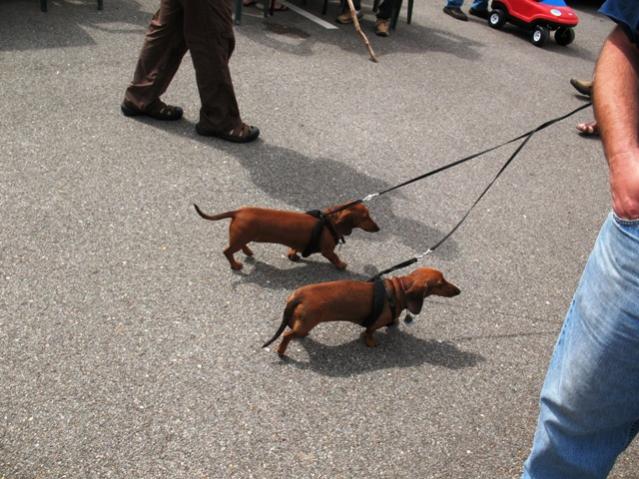twin weiners