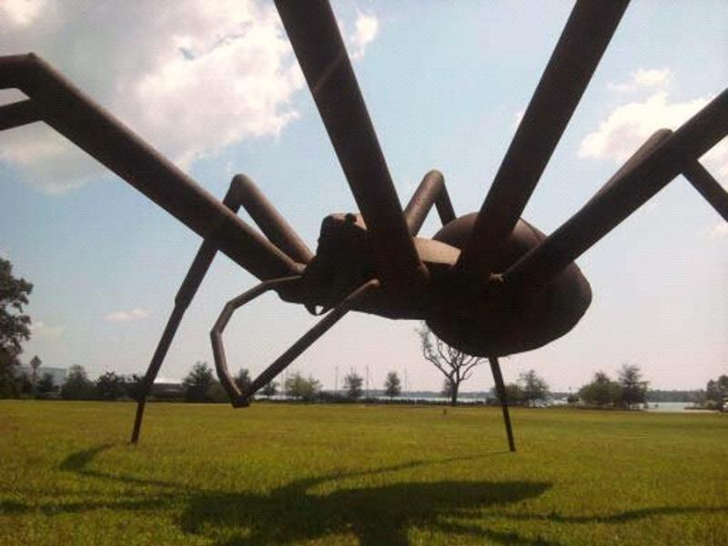 Under the giant spider 9/22/12