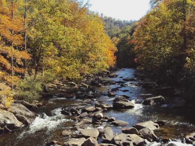 Upstream from Bald River Falls on the Cherohala Skyway