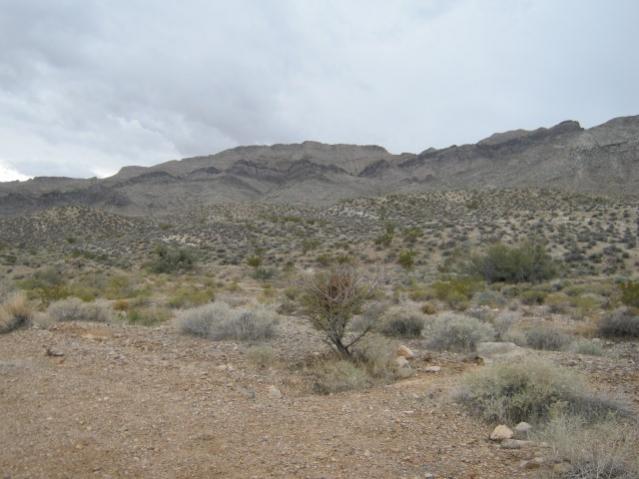 Valley of Fire--Nevada