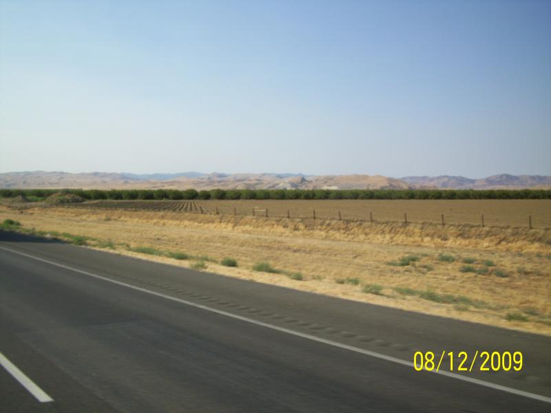 Varying landscape through CA.