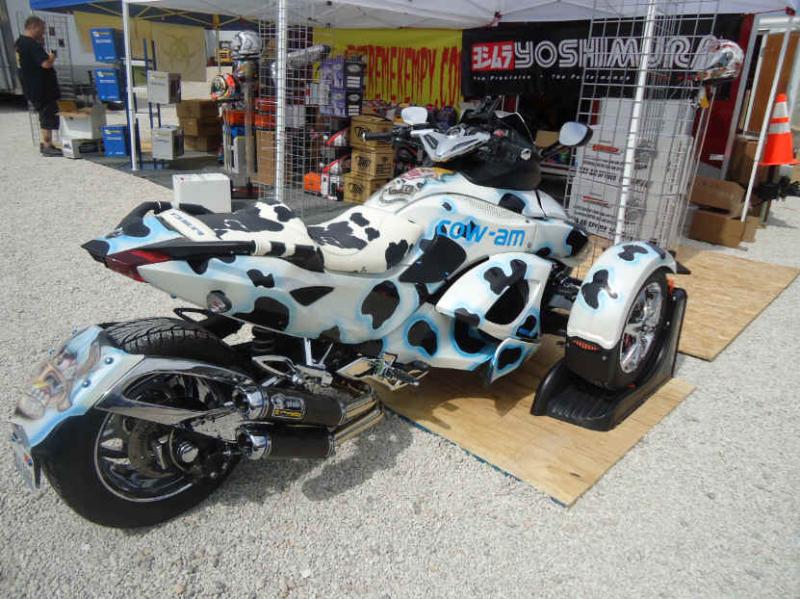 vendor village cow am  Wed 4 25 12