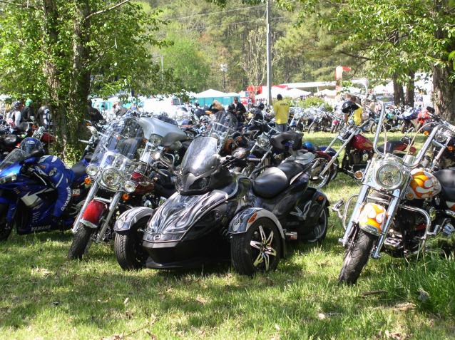 Venom out for a day of play with some close friends